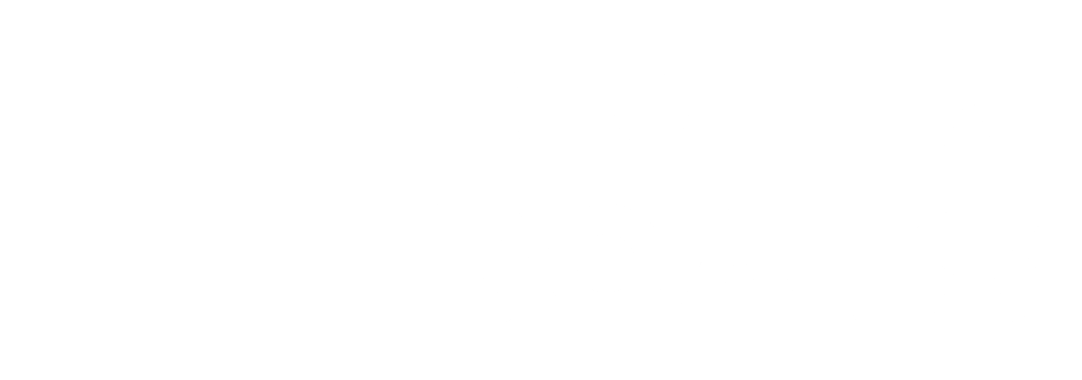 Logo Bora Boats
